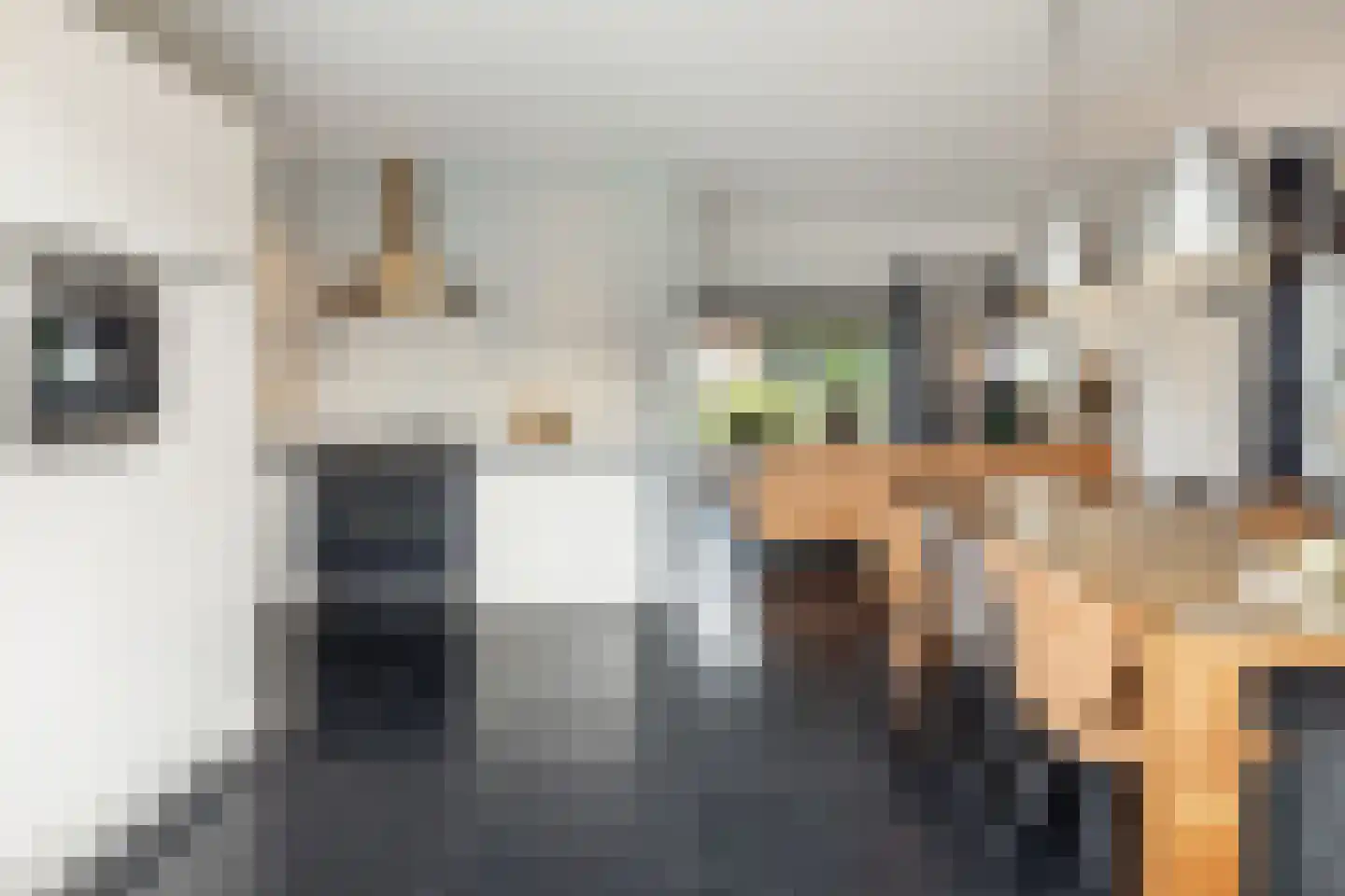 Perzikstraat 21 Wijk en Aalburg thumbnail 8