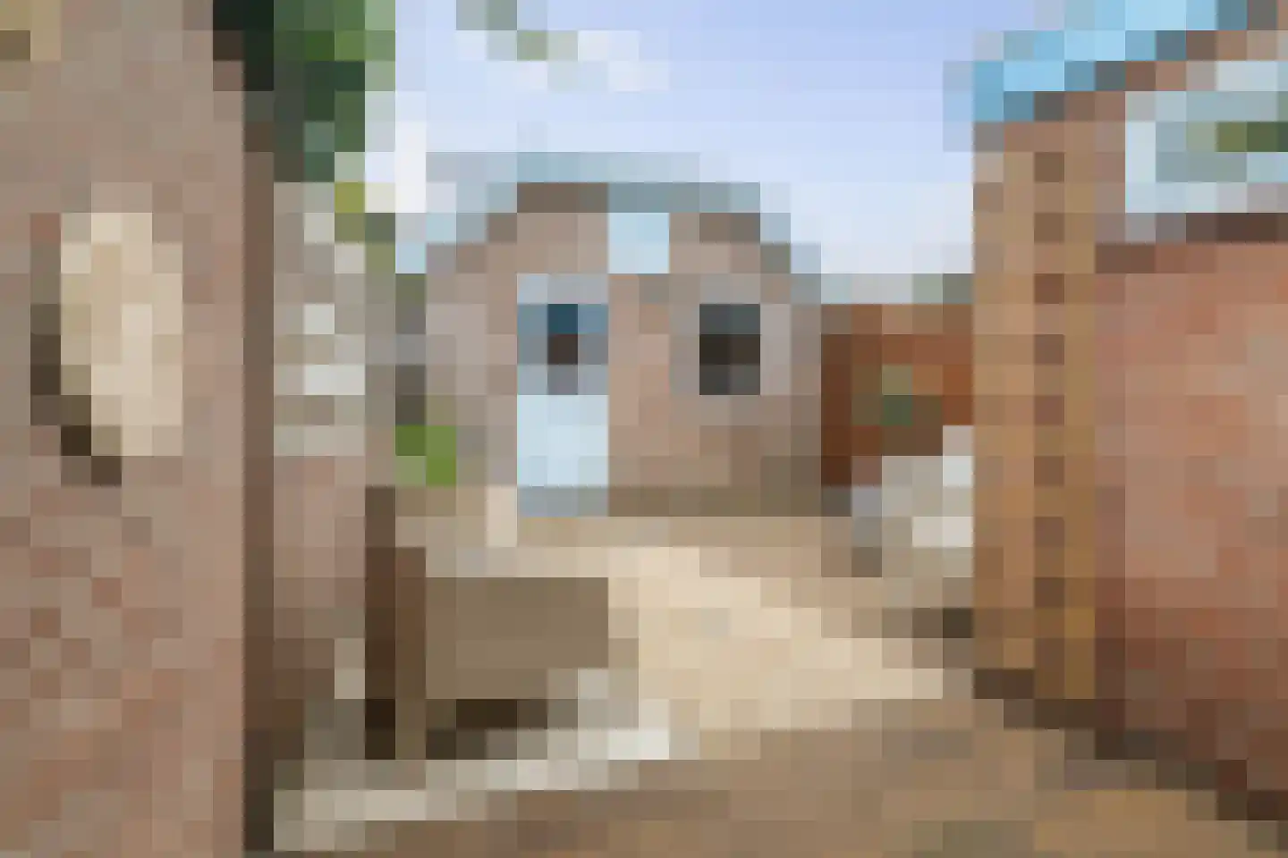 Perzikstraat 3 Deventer thumbnail 33