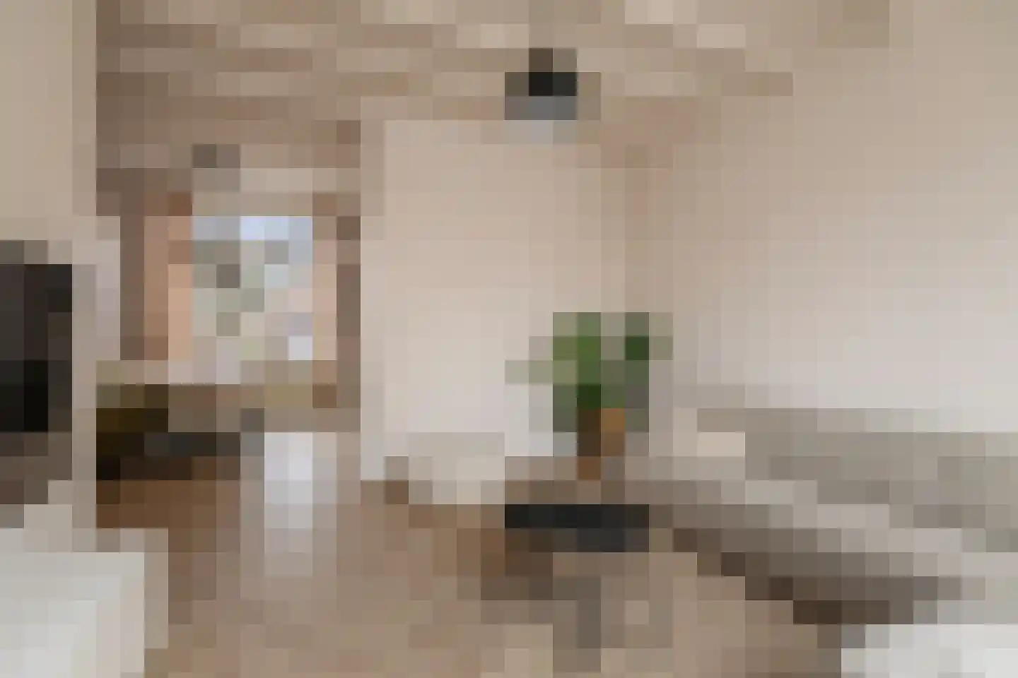 Perzikstraat 3 Deventer thumbnail 5