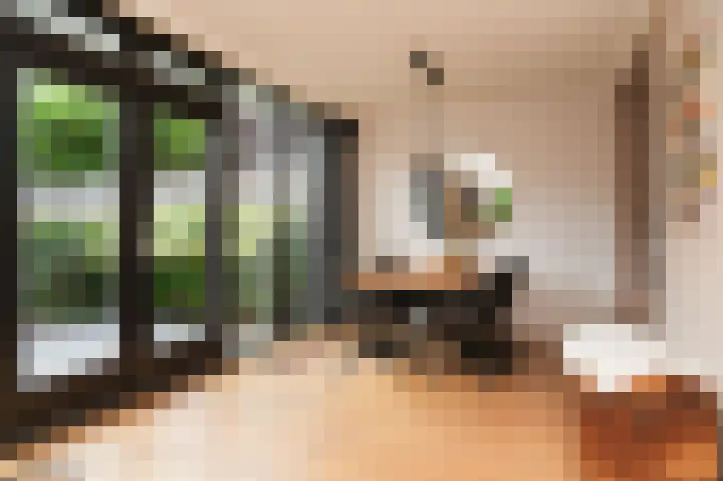 Perzikstraat 38 Beneden-Leeuwen thumbnail 11