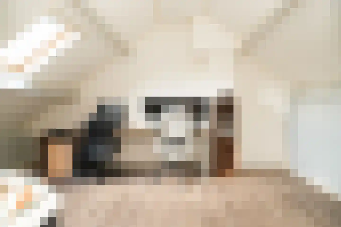 Perzikstraat 38 Beneden-Leeuwen thumbnail 33