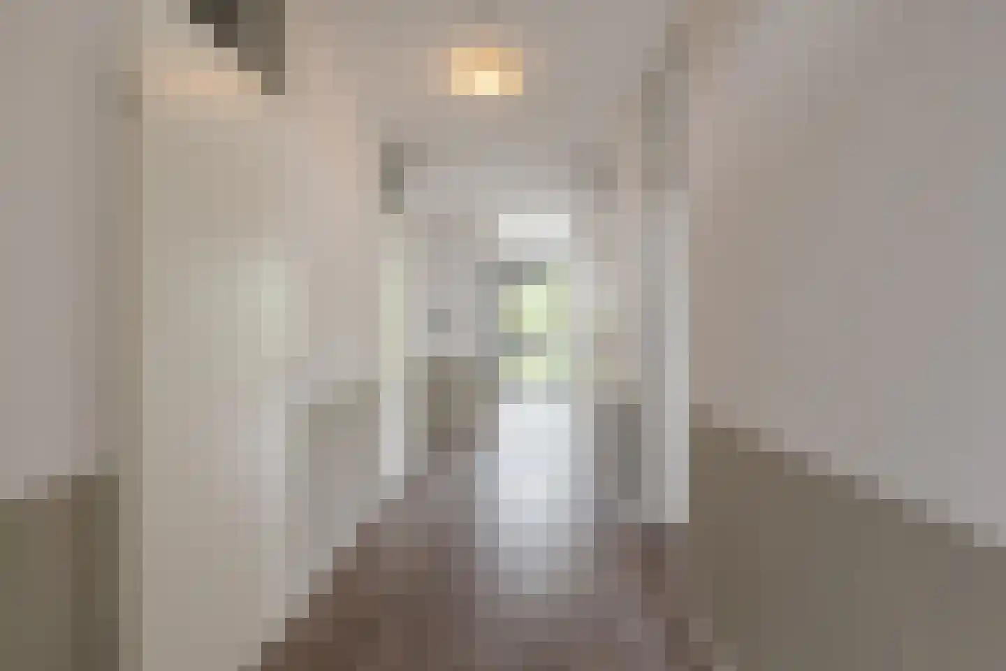 Perzikstraat 44 Assen thumbnail 24