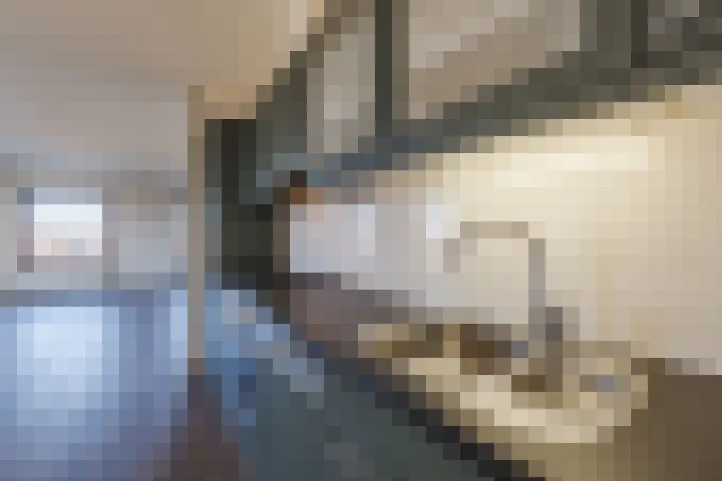 Perzikstraat 56 Assen thumbnail 18