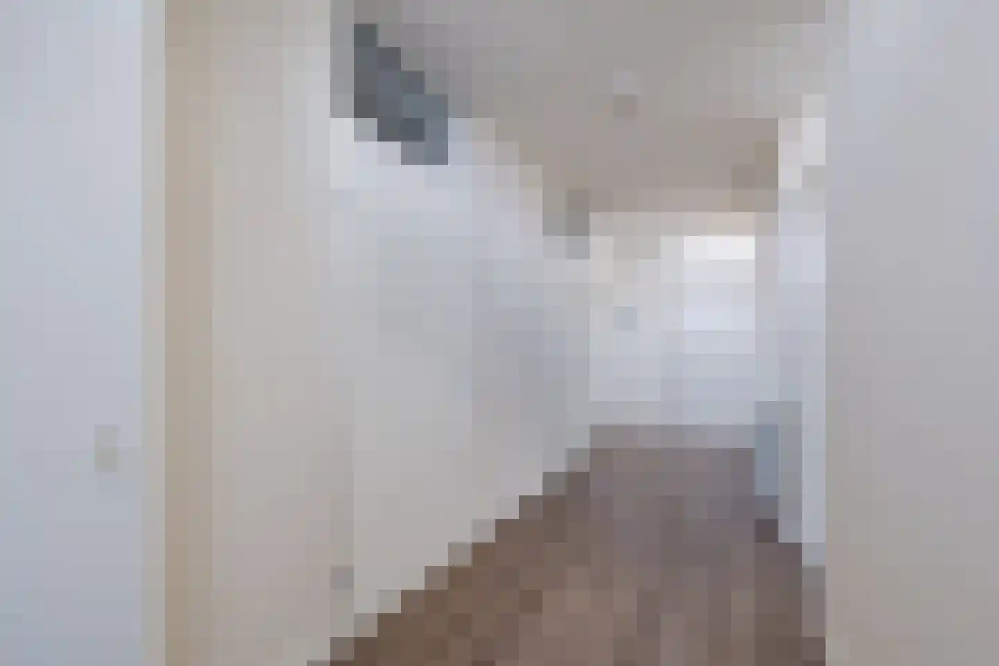 Perzikstraat 56 Assen thumbnail 7
