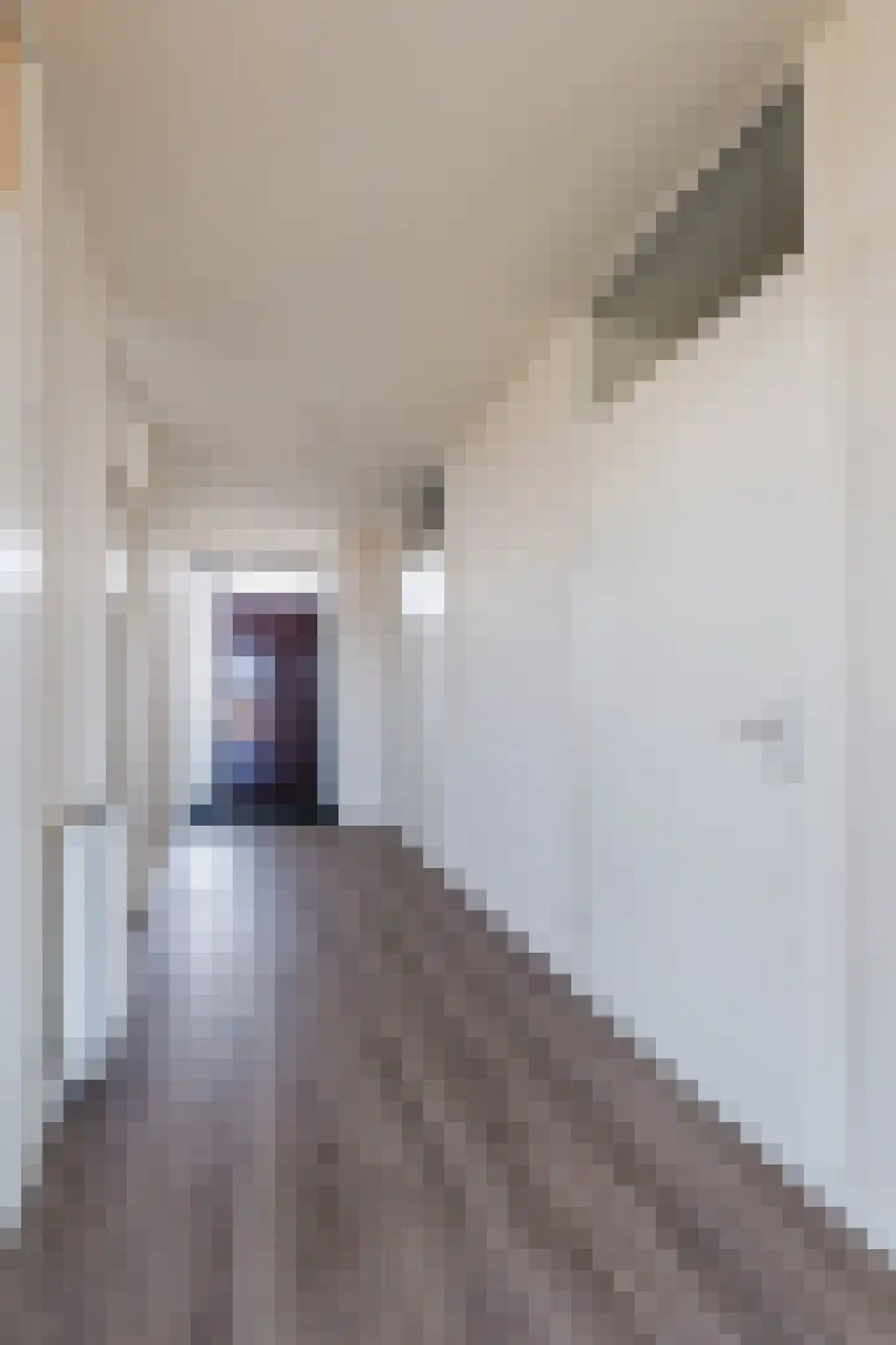 Perzikstraat 56 Assen thumbnail 9