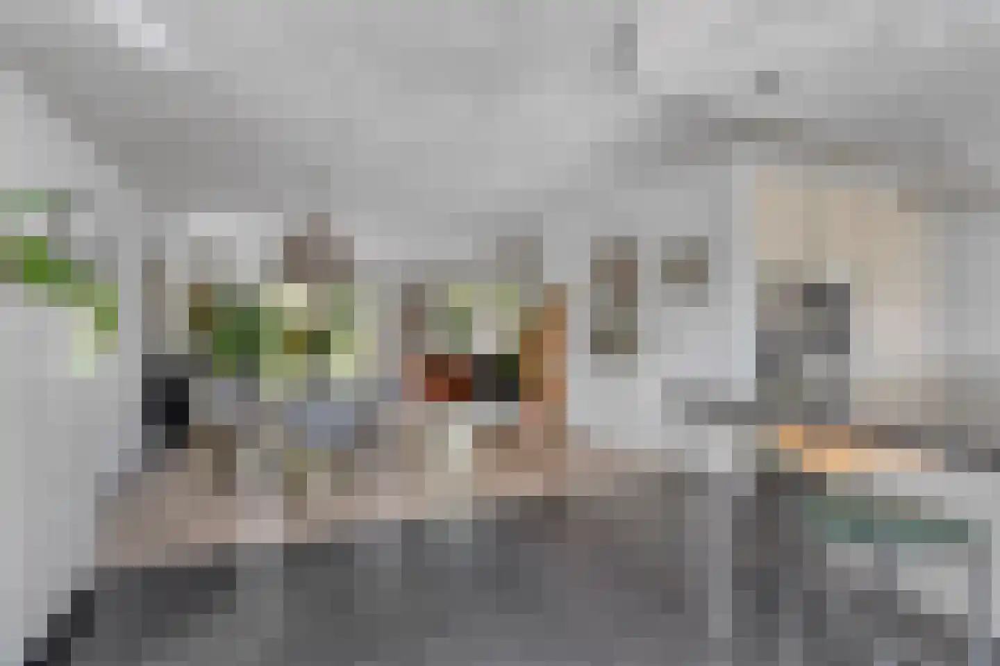 Perzikstraat 9 Almere thumbnail 21