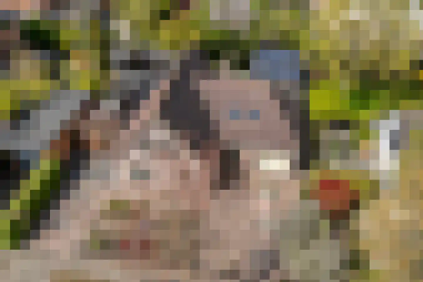 Perzikstraat 9 Almere thumbnail 5