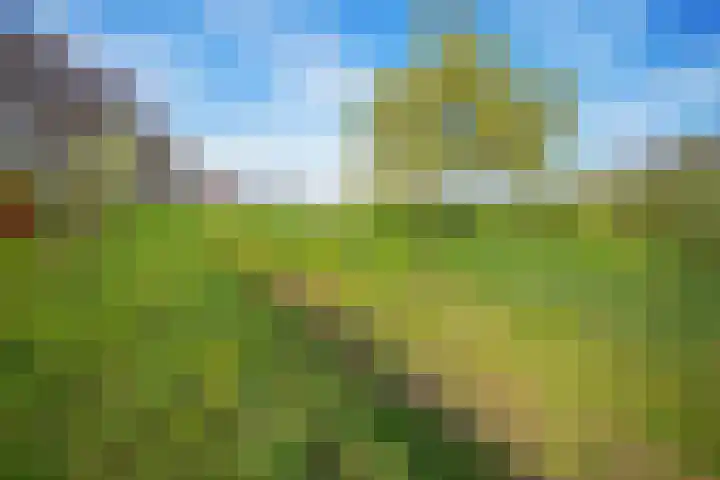 Pesaken 3 Gulpen thumbnail 10