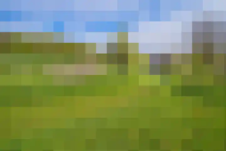 Pesaken 3 Gulpen thumbnail 11