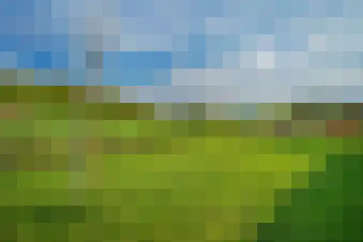 Pesaken 3 Gulpen thumbnail 13