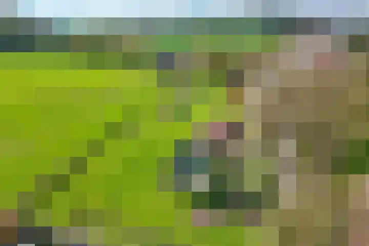 Pesaken 3 Gulpen thumbnail 14