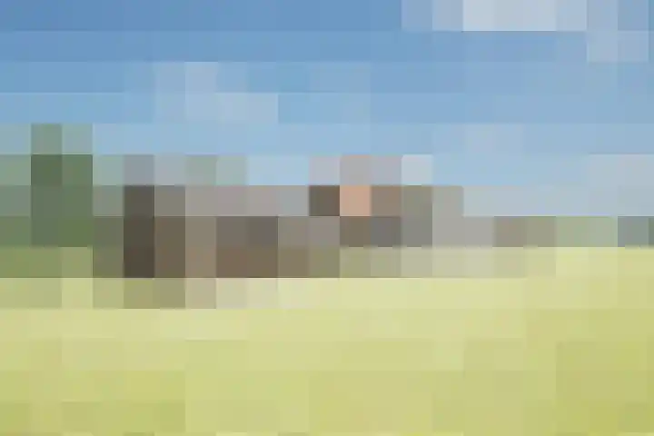 Pesaken 3 Gulpen thumbnail 22