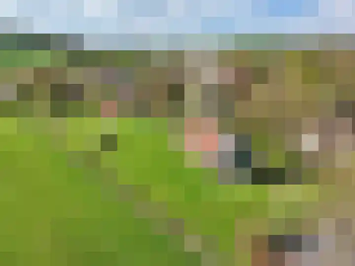 Pesaken 3 Gulpen thumbnail 29