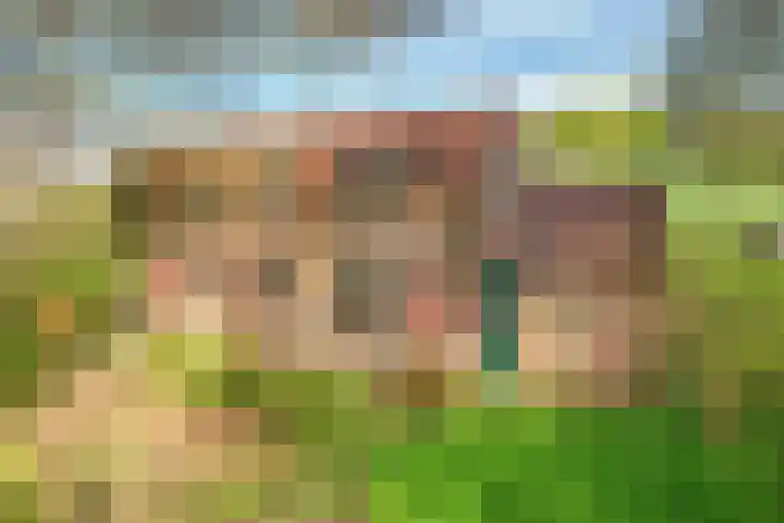 Pesaken 3 Gulpen foto 3