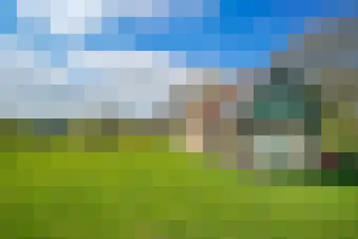 Pesaken 3 Gulpen thumbnail 6