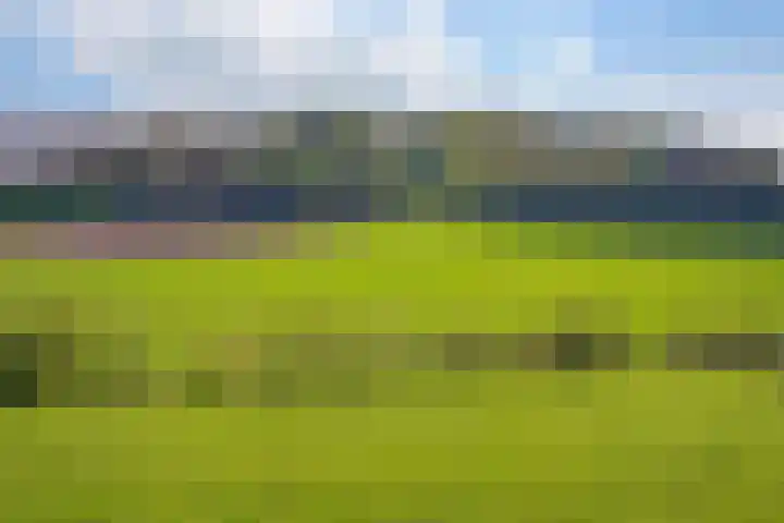 Pesaken 3 Gulpen thumbnail 7