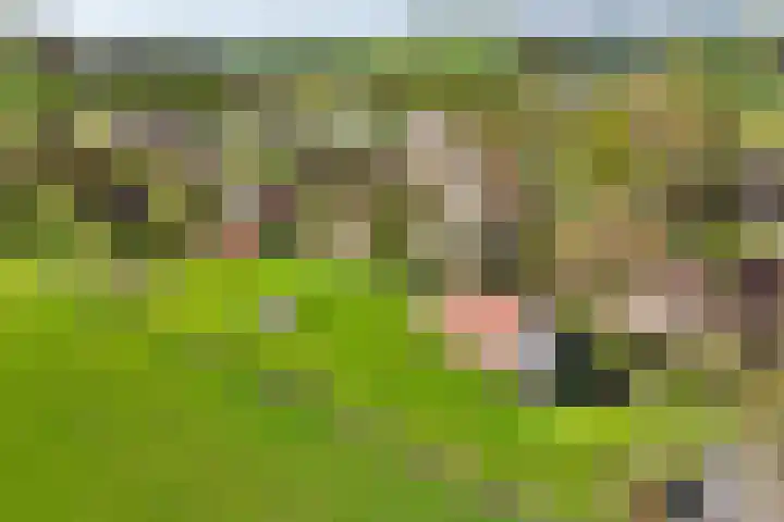 Pesaken 3 Gulpen thumbnail 8