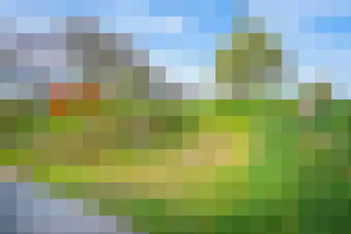 Pesaken 3 Gulpen thumbnail 9