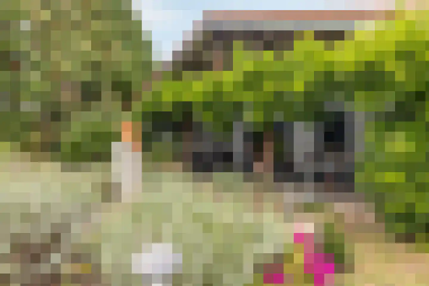 Peschstraat 35 A Geleen thumbnail 18