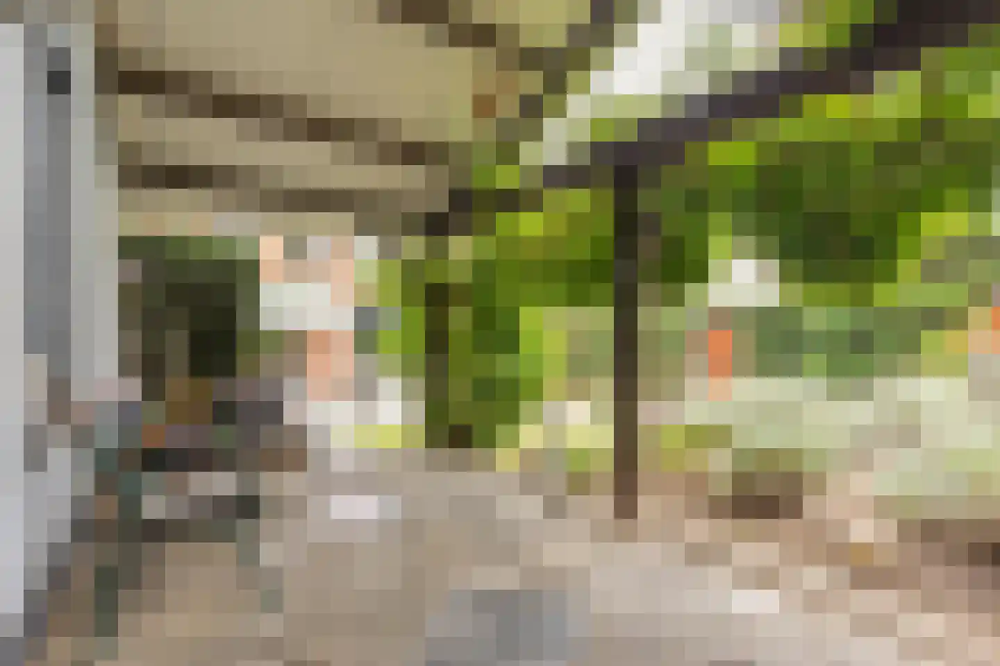 Peschstraat 35 A Geleen thumbnail 20