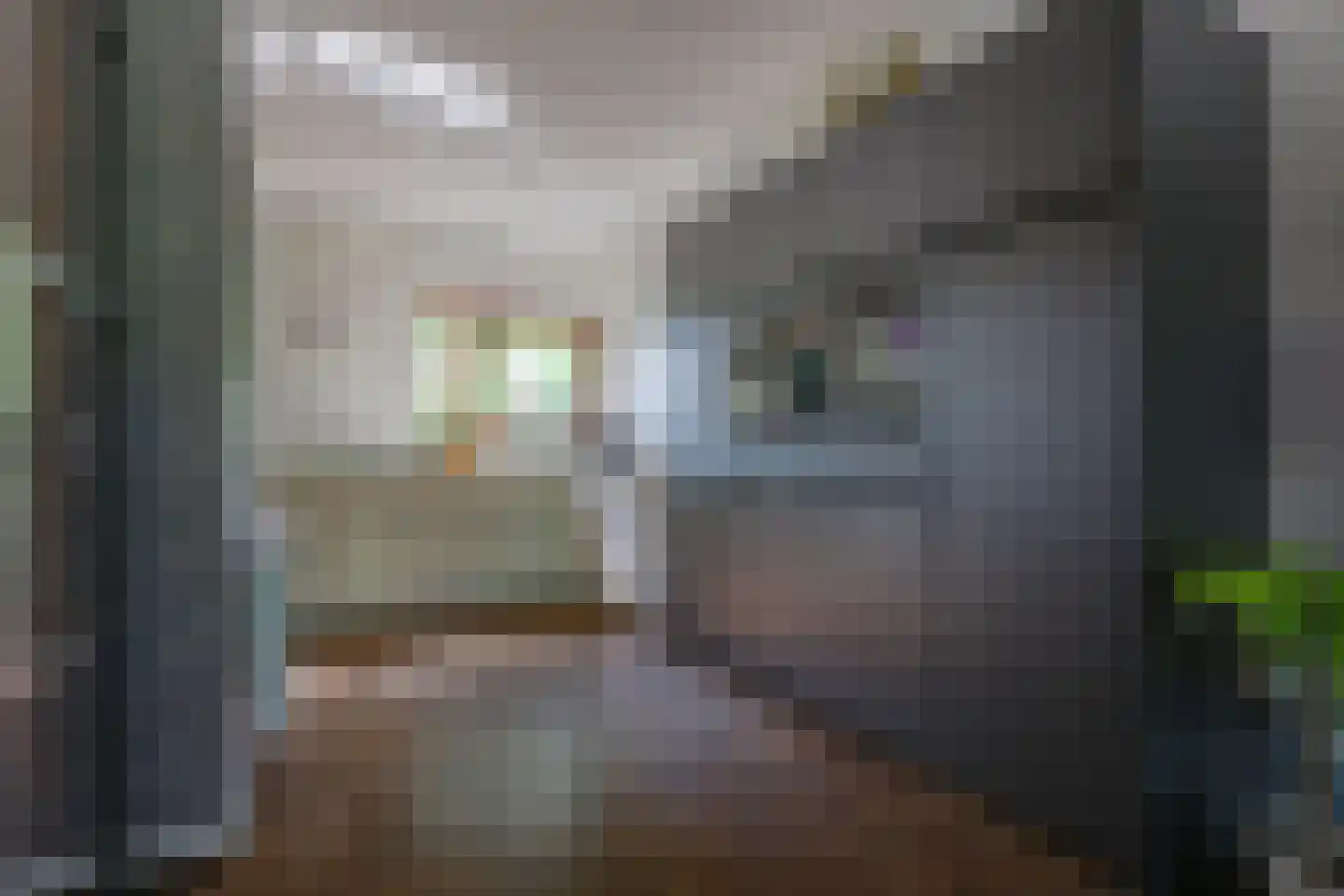 Peschstraat 44 Heerlen thumbnail 6