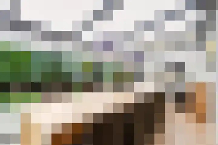 Pèse Schorre 3 Cadzand thumbnail 13