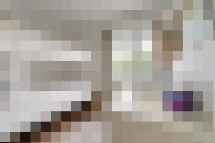 Pèse Schorre 3 Cadzand thumbnail 19