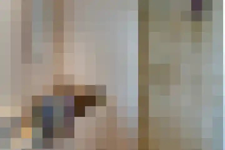 Pèse Schorre 3 Cadzand thumbnail 22
