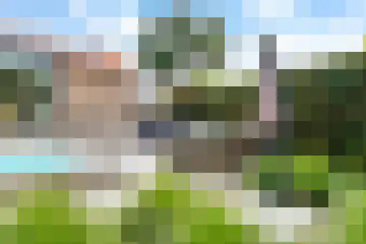 Pèse Schorre 3 Cadzand thumbnail 24