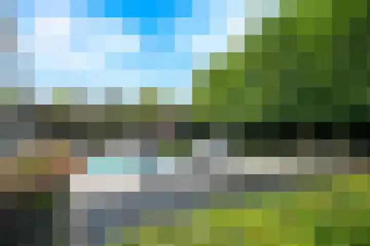Pèse Schorre 3 Cadzand thumbnail 25