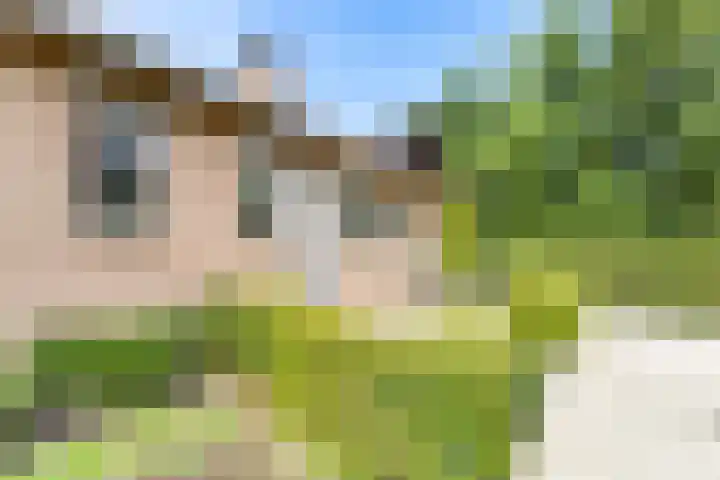 Pèse Schorre 3 Cadzand thumbnail 27