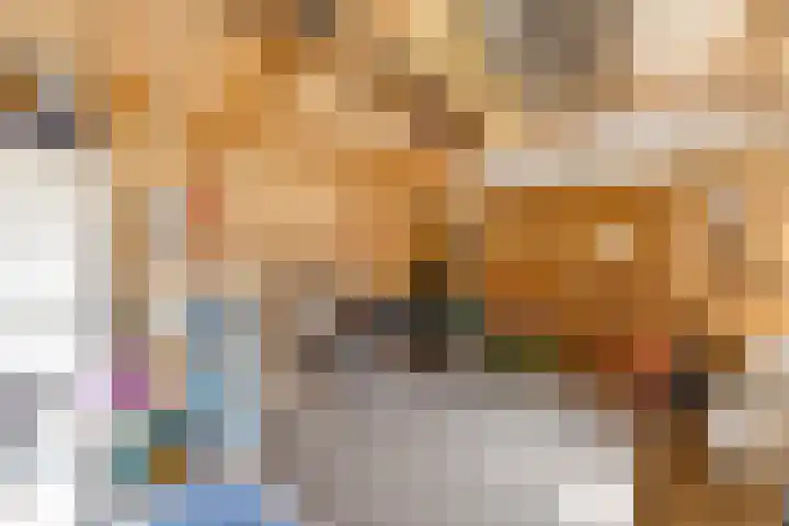 Pèse Schorre 3 Cadzand thumbnail 29