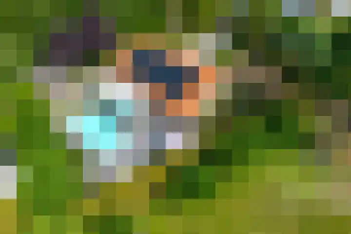 Pèse Schorre 3 Cadzand thumbnail 31
