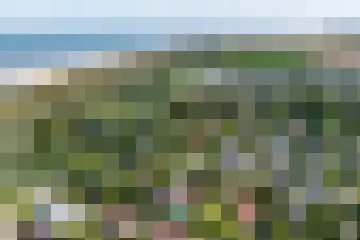 Pèse Schorre 3 Cadzand thumbnail 32