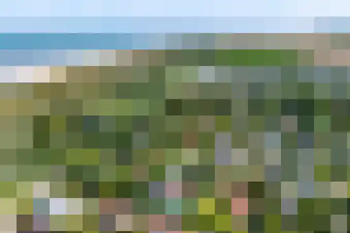 Pèse Schorre 3 Cadzand thumbnail 33