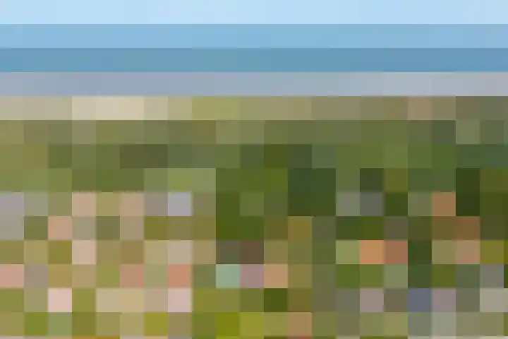 Pèse Schorre 3 Cadzand thumbnail 34