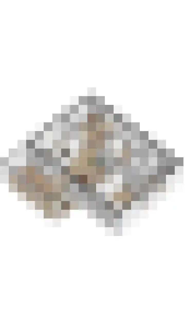 Pèse Schorre 3 Cadzand thumbnail 36