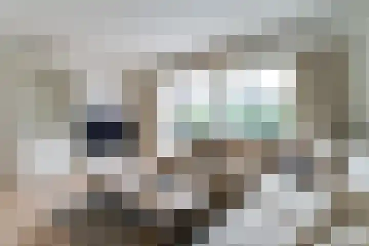 Pèse Schorre 3 Cadzand thumbnail 4
