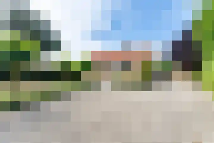 Pèse Schorre 3 Cadzand thumbnail 6