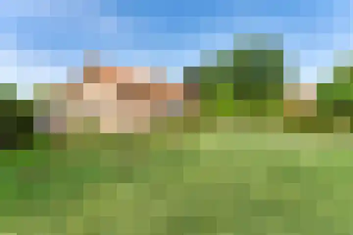 Pèse Schorre 3 Cadzand thumbnail 7