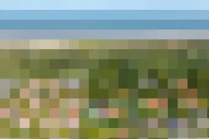Pèse Schorre 3 Cadzand thumbnail 9