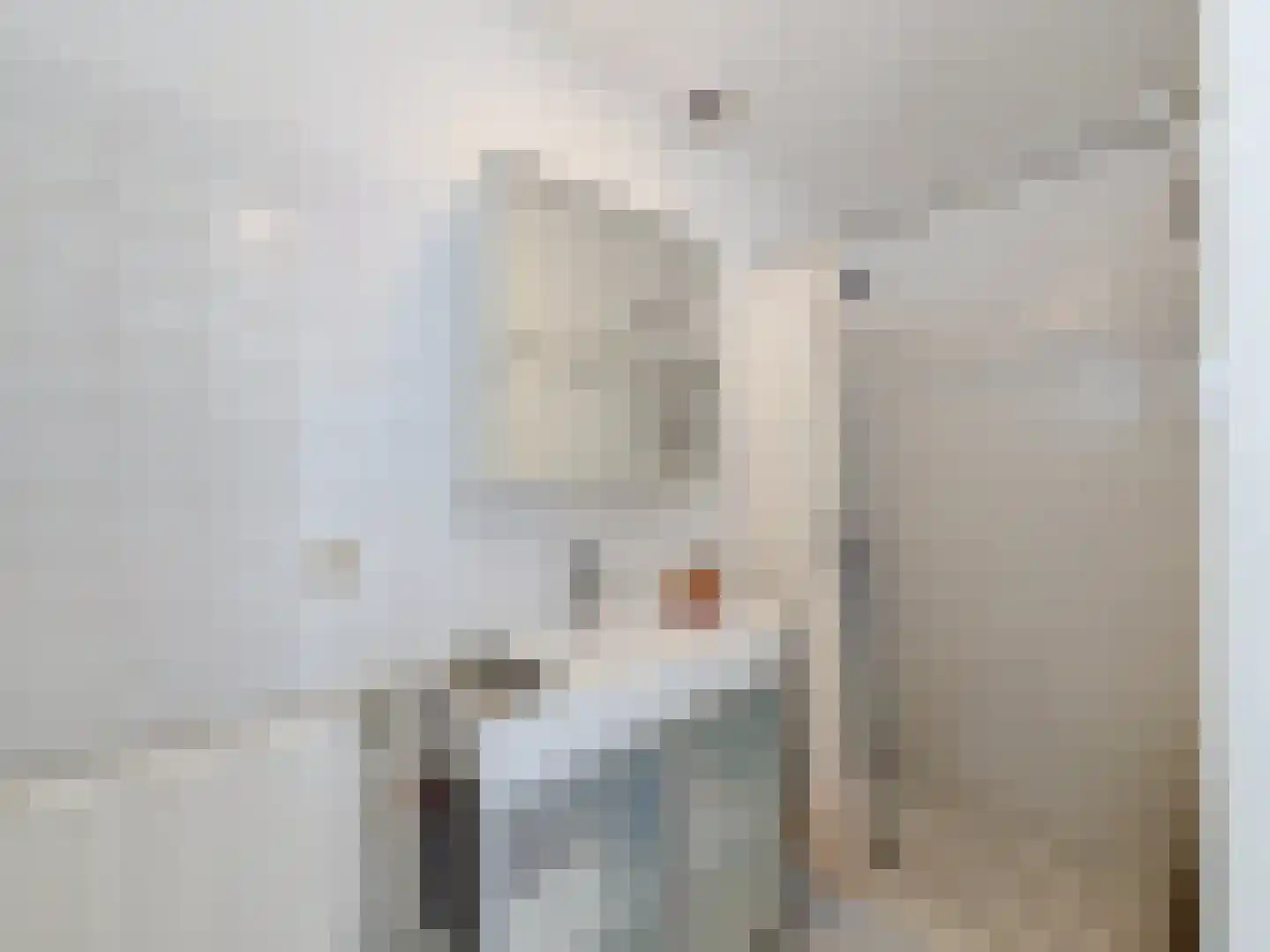 Pèse Schorre 32 Cadzand thumbnail 18