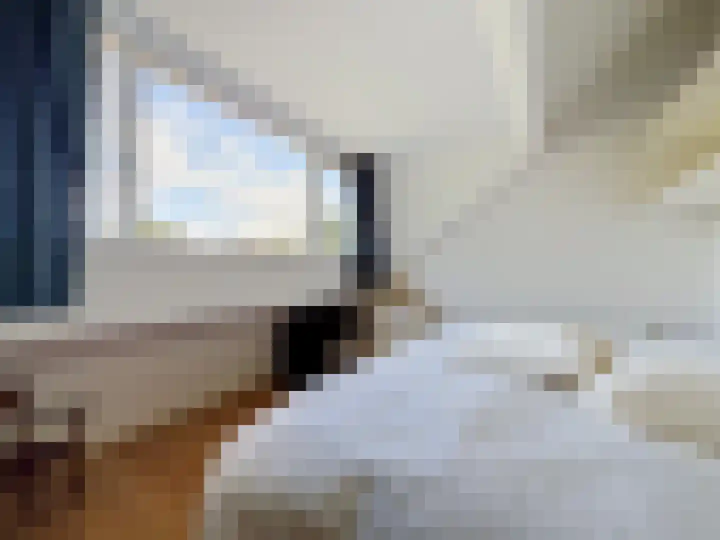 Pèse Schorre 32 Cadzand thumbnail 21
