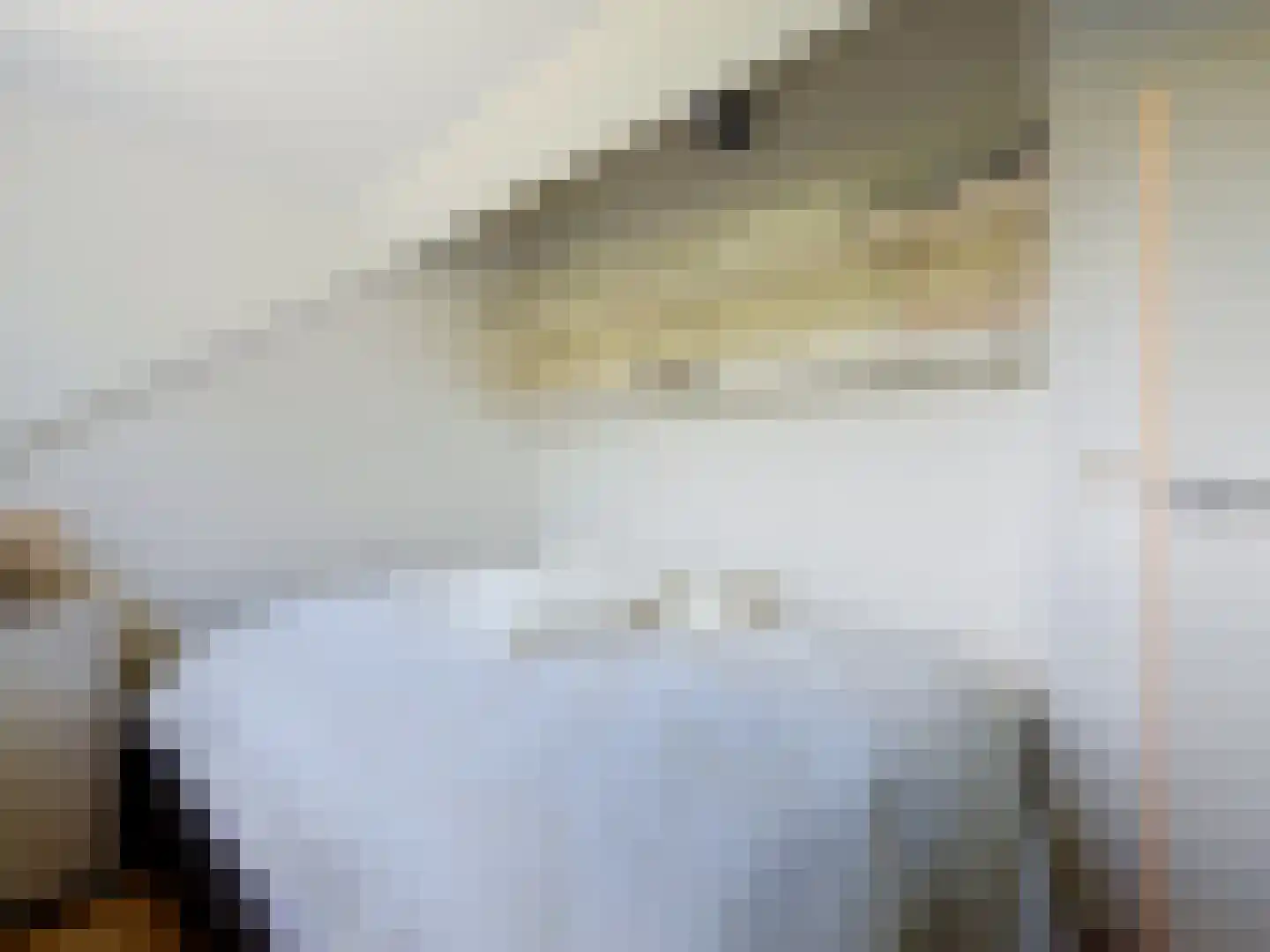 Pèse Schorre 32 Cadzand thumbnail 22