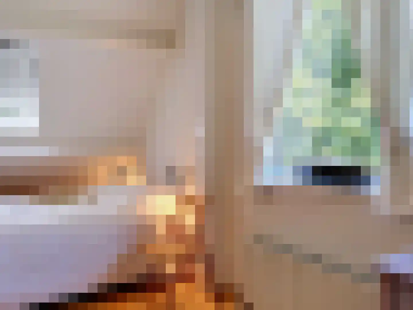 Pèse Schorre 32 Cadzand thumbnail 23