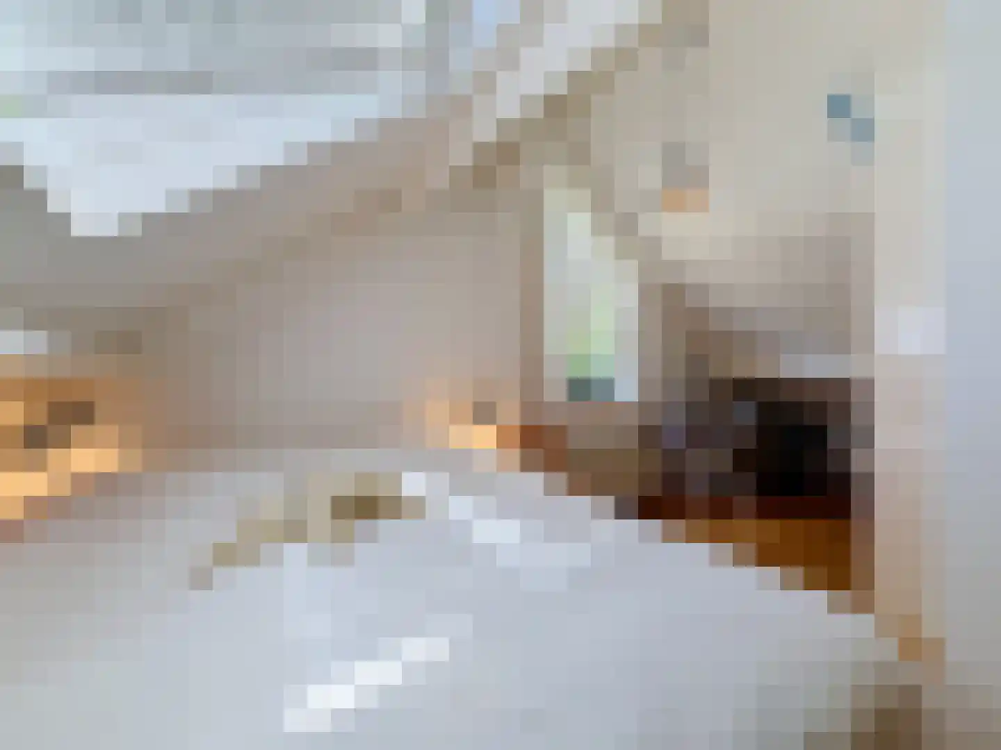 Pèse Schorre 32 Cadzand thumbnail 27