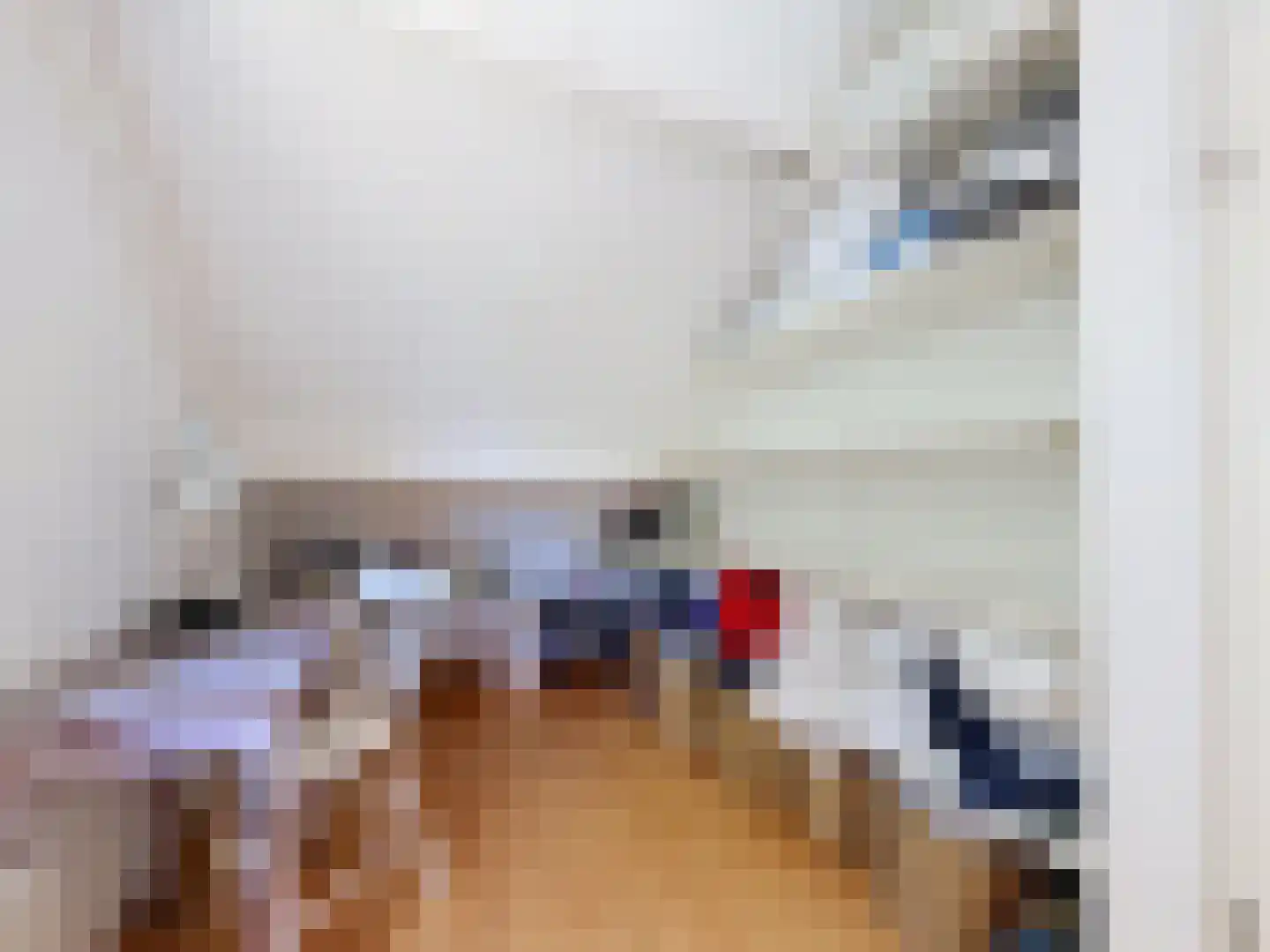 Pèse Schorre 32 Cadzand thumbnail 28