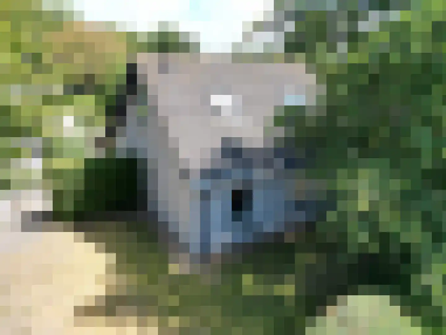 Pèse Schorre 32 Cadzand thumbnail 21