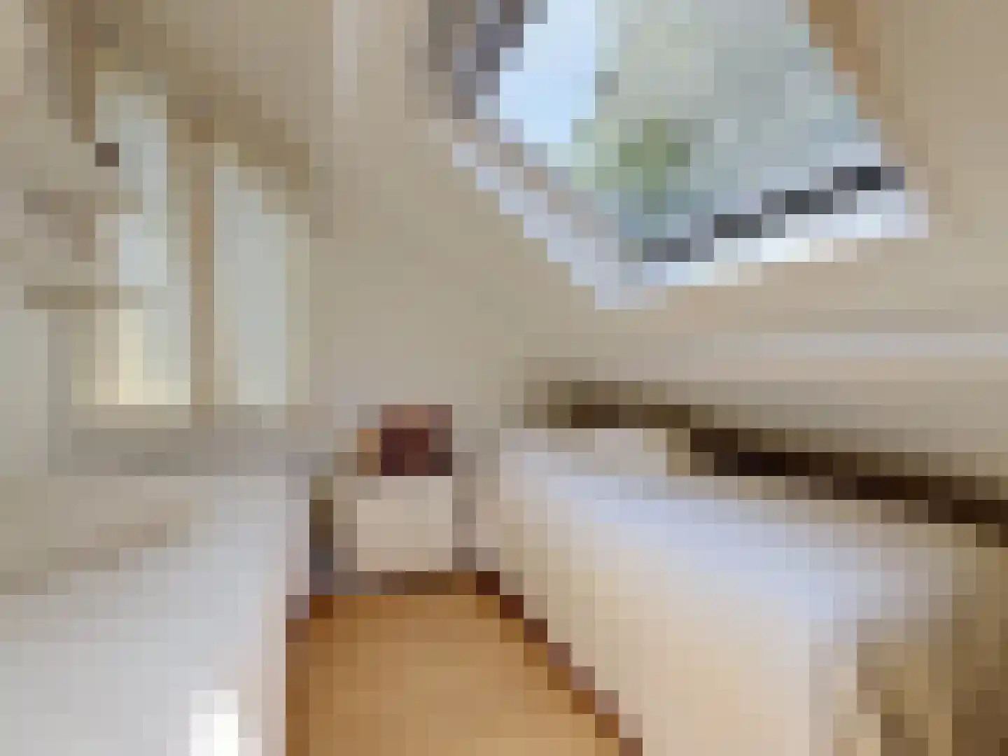 Pèse Schorre 32 Cadzand thumbnail 30