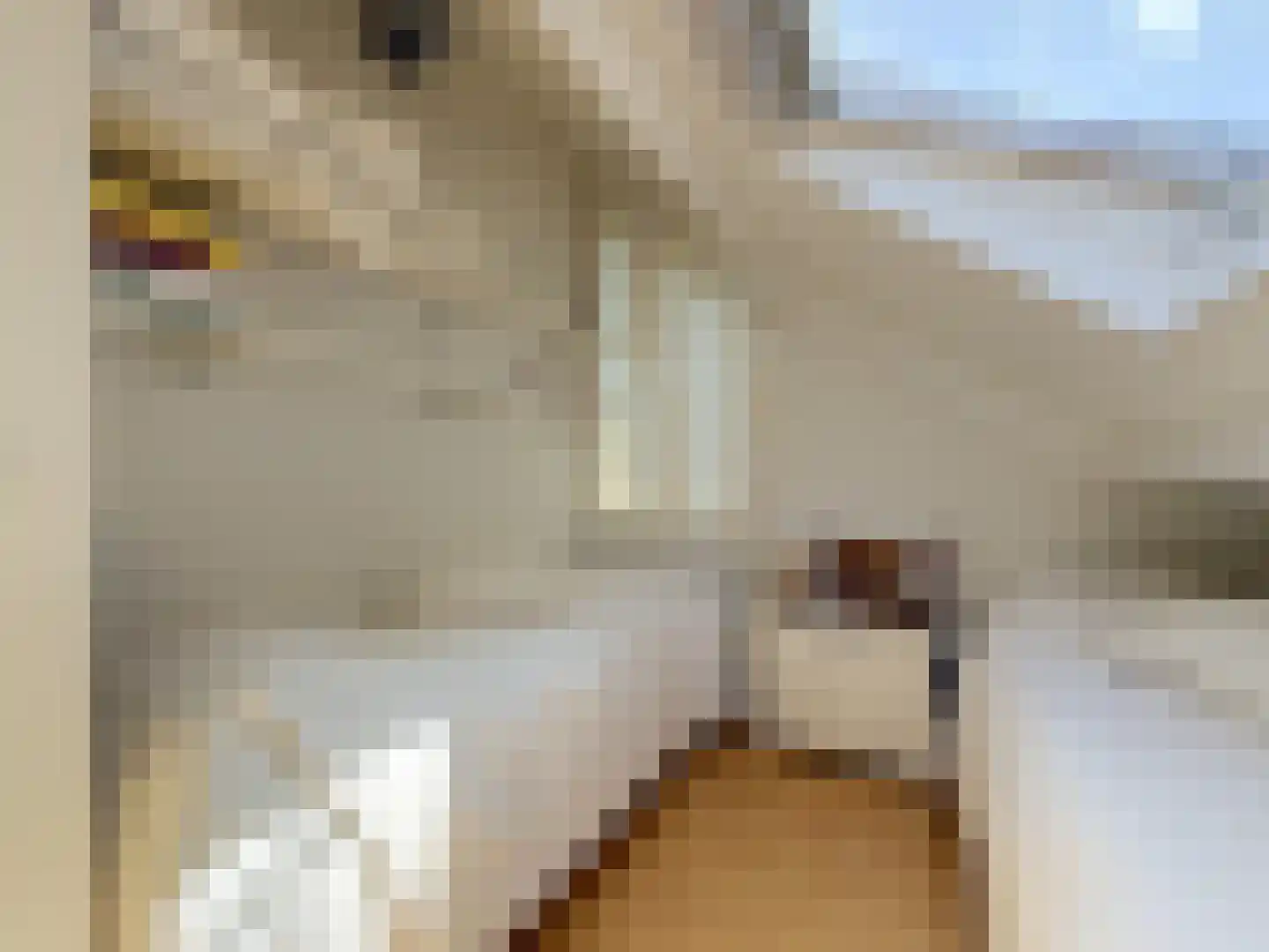 Pèse Schorre 32 Cadzand thumbnail 31